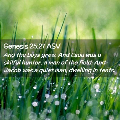 Picture 02 - Genesis 25:27 ASV - And the boys grew. And Esau was a skilful hunter, - Bible Verse Picture