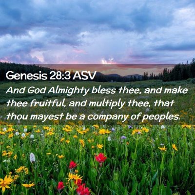 Picture 02 - Genesis 28:3 ASV - And God Almighty bless thee, and make thee - Bible Verse Picture