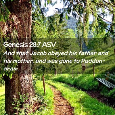 Picture 02 - Genesis 28:7 ASV - And that Jacob obeyed his father and his mother, - Bible Verse Picture