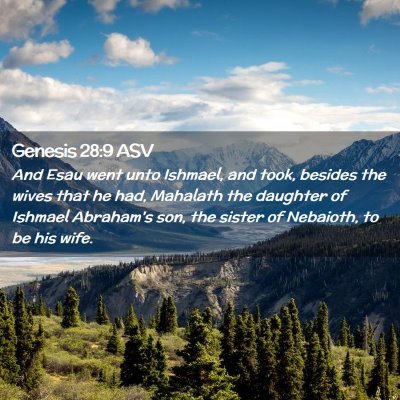 Picture 02 - Genesis 28:9 ASV - And Esau went unto Ishmael, and took, besides the - Bible Verse Picture