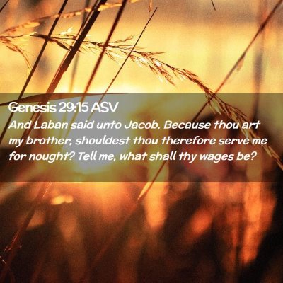Picture 02 - Genesis 29:15 ASV - And Laban said unto Jacob, Because thou art my - Bible Verse Picture