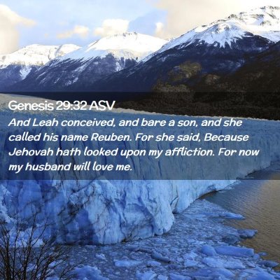 Picture 02 - Genesis 29:32 ASV - And Leah conceived, and bare a son, and she - Bible Verse Picture