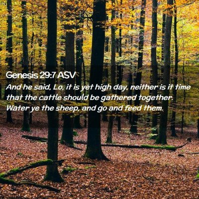 Picture 02 - Genesis 29:7 ASV - And he said, Lo, it is yet high day, neither is - Bible Verse Picture