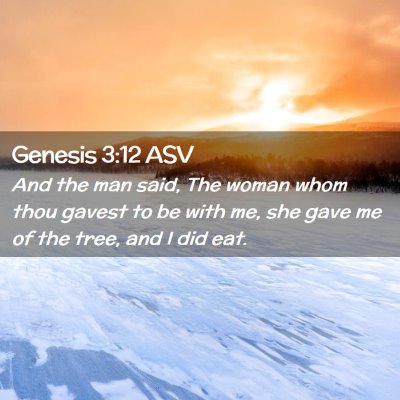 Picture 02 - Genesis 3:12 ASV - And the man said, The woman whom thou gavest to - Bible Verse Picture