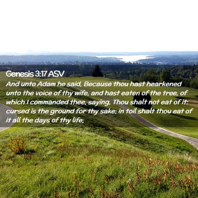 Picture 02 - Genesis 3:17 ASV - And unto Adam he said, Because thou hast - Bible Verse Picture