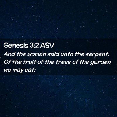 Picture 02 - Genesis 3:2 ASV - And the woman said unto the serpent, Of the fruit - Bible Verse Picture