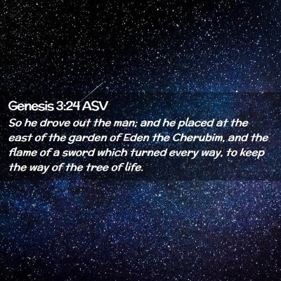 Picture 02 - Genesis 3:24 ASV - So he drove out the man; and he placed at the - Bible Verse Picture