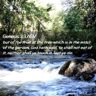 Picture 02 - Genesis 3:3 ASV - but of the fruit of the tree which is in the - Bible Verse Picture