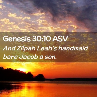 Picture 02 - Genesis 30:10 ASV - And Zilpah Leah's handmaid bare Jacob a - Bible Verse Picture