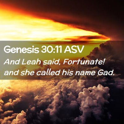 Picture 02 - Genesis 30:11 ASV - And Leah said, Fortunate! and she called his name - Bible Verse Picture