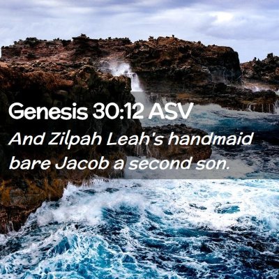 Picture 02 - Genesis 30:12 ASV - And Zilpah Leah's handmaid bare Jacob a second - Bible Verse Picture