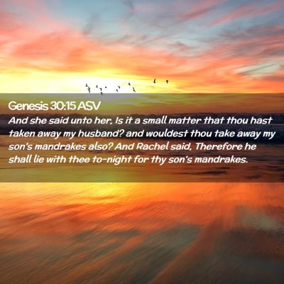 Picture 02 - Genesis 30:15 ASV - And she said unto her, Is it a small matter that - Bible Verse Picture