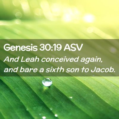 Picture 02 - Genesis 30:19 ASV - And Leah conceived again, and bare a sixth son to - Bible Verse Picture