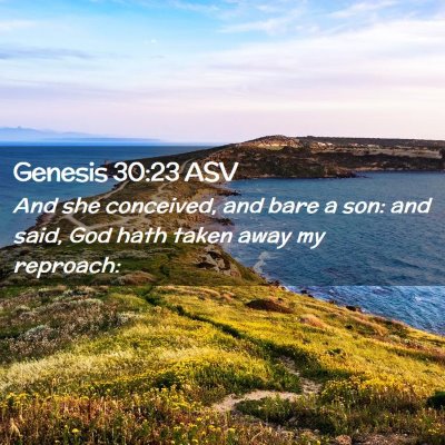 Picture 02 - Genesis 30:23 ASV - And she conceived, and bare a son: and said, God - Bible Verse Picture