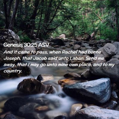 Picture 02 - Genesis 30:25 ASV - And it came to pass, when Rachel had borne - Bible Verse Picture