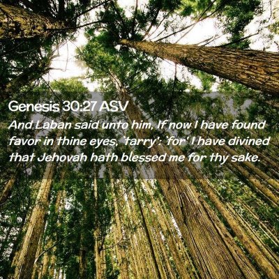 Picture 02 - Genesis 30:27 ASV - And Laban said unto him, If now I have found - Bible Verse Picture