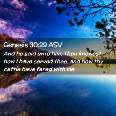 Picture 02 - Genesis 30:29 ASV - And he said unto him, Thou knowest how I have - Bible Verse Picture
