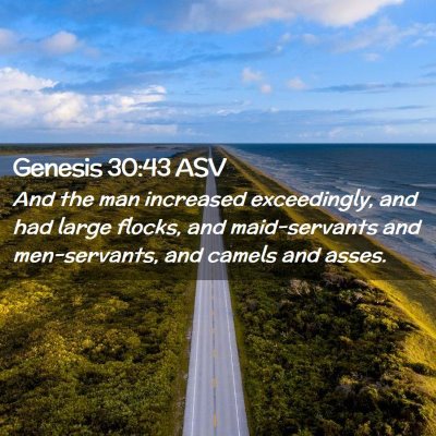 Picture 02 - Genesis 30:43 ASV - And the man increased exceedingly, and had large - Bible Verse Picture