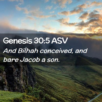 Picture 02 - Genesis 30:5 ASV - And Bilhah conceived, and bare Jacob a - Bible Verse Picture