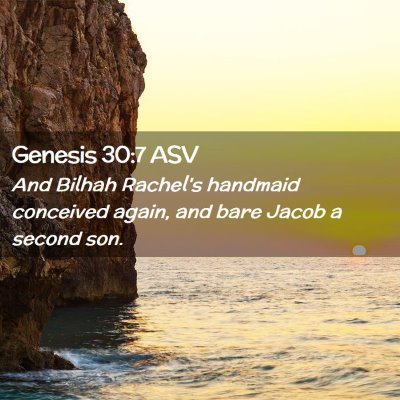 Picture 02 - Genesis 30:7 ASV - And Bilhah Rachel's handmaid conceived again, and - Bible Verse Picture