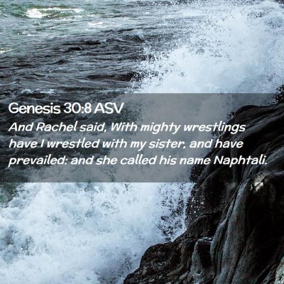 Picture 02 - Genesis 30:8 ASV - And Rachel said, With mighty wrestlings have I - Bible Verse Picture