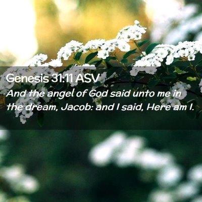 Picture 02 - Genesis 31:11 ASV - And the angel of God said unto me in the dream, - Bible Verse Picture