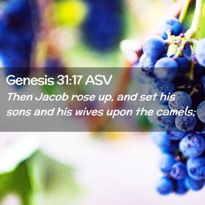 Picture 02 - Genesis 31:17 ASV - Then Jacob rose up, and set his sons and his - Bible Verse Picture