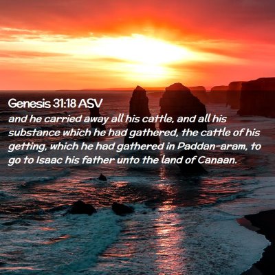 Picture 02 - Genesis 31:18 ASV - and he carried away all his cattle, and all his - Bible Verse Picture
