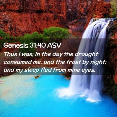 Picture 02 - Genesis 31:40 ASV - Thus I was; in the day the drought consumed me, - Bible Verse Picture