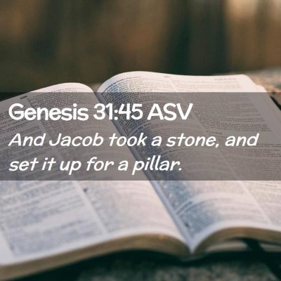 Picture 02 - Genesis 31:45 ASV - And Jacob took a stone, and set it up for a - Bible Verse Picture
