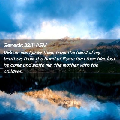 Picture 02 - Genesis 32:11 ASV - Deliver me, I pray thee, from the hand of my - Bible Verse Picture