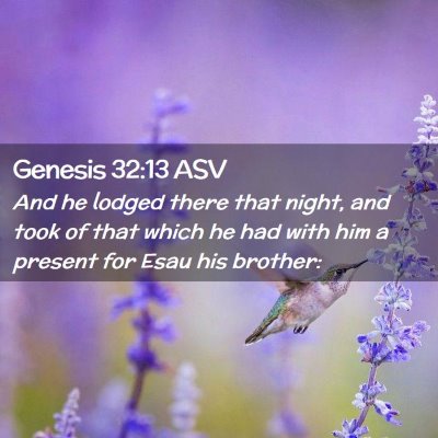 Picture 02 - Genesis 32:13 ASV - And he lodged there that night, and took of that - Bible Verse Picture