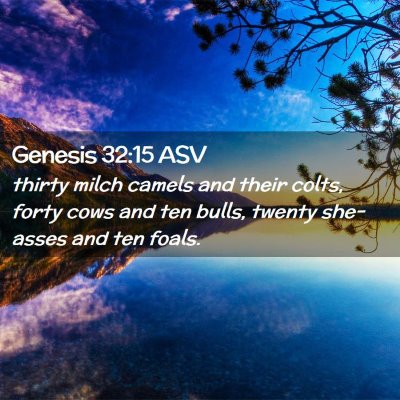 Picture 02 - Genesis 32:15 ASV - thirty milch camels and their colts, forty cows - Bible Verse Picture