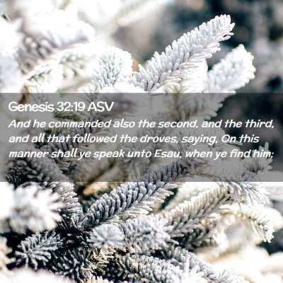 Picture 02 - Genesis 32:19 ASV - And he commanded also the second, and the third, - Bible Verse Picture