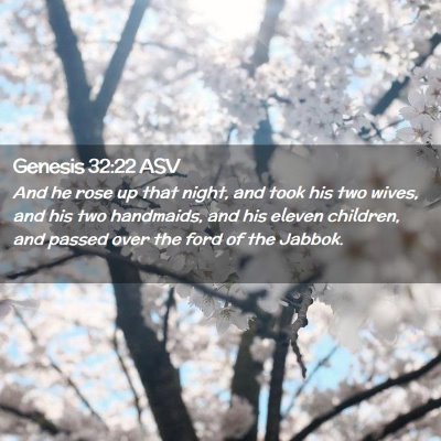 Picture 02 - Genesis 32:22 ASV - And he rose up that night, and took his two - Bible Verse Picture