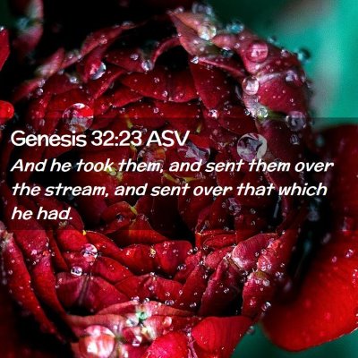 Picture 02 - Genesis 32:23 ASV - And he took them, and sent them over the stream, - Bible Verse Picture