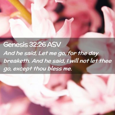Picture 02 - Genesis 32:26 ASV - And he said, Let me go, for the day breaketh. And - Bible Verse Picture