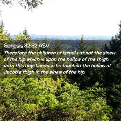 Picture 02 - Genesis 32:32 ASV - Therefore the children of Israel eat not the - Bible Verse Picture