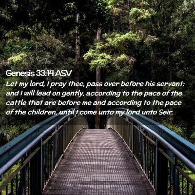 Picture 02 - Genesis 33:14 ASV - Let my lord, I pray thee, pass over before his - Bible Verse Picture