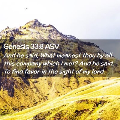 Picture 02 - Genesis 33:8 ASV - And he said, What meanest thou by all this - Bible Verse Picture