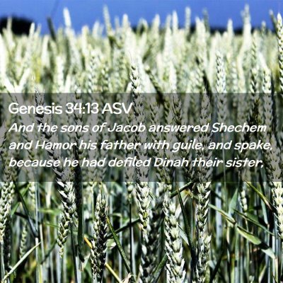 Picture 02 - Genesis 34:13 ASV - And the sons of Jacob answered Shechem and Hamor - Bible Verse Picture