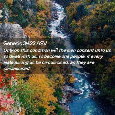 Picture 02 - Genesis 34:22 ASV - Only on this condition will the men consent unto - Bible Verse Picture