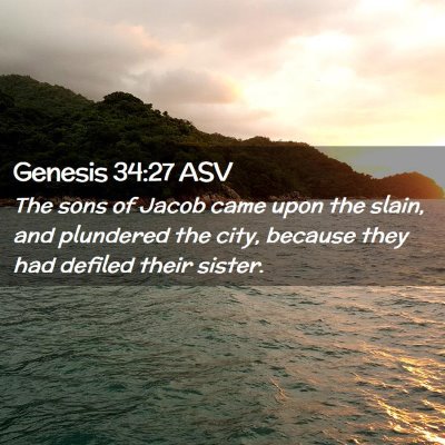 Picture 02 - Genesis 34:27 ASV - The sons of Jacob came upon the slain, and - Bible Verse Picture