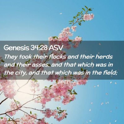 Picture 02 - Genesis 34:28 ASV - They took their flocks and their herds and their - Bible Verse Picture