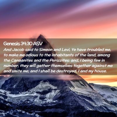 Picture 02 - Genesis 34:30 ASV - And Jacob said to Simeon and Levi, Ye have - Bible Verse Picture