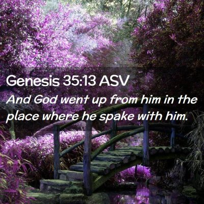 Picture 02 - Genesis 35:13 ASV - And God went up from him in the place where he - Bible Verse Picture