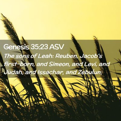 Picture 02 - Genesis 35:23 ASV - The sons of Leah: Reuben, Jacob's first-born, and - Bible Verse Picture