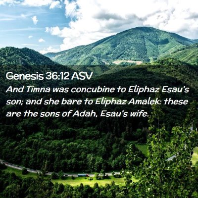 Picture 02 - Genesis 36:12 ASV - And Timna was concubine to Eliphaz Esau's son; - Bible Verse Picture