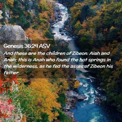 Picture 02 - Genesis 36:24 ASV - And these are the children of Zibeon: Aiah and - Bible Verse Picture