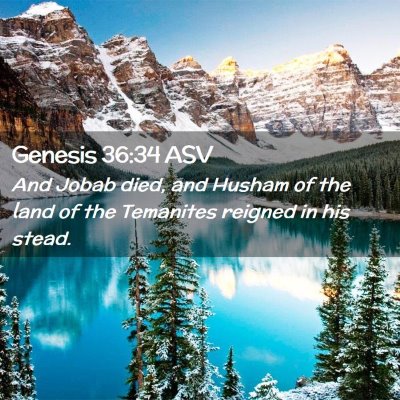 Picture 02 - Genesis 36:34 ASV - And Jobab died, and Husham of the land of the - Bible Verse Picture